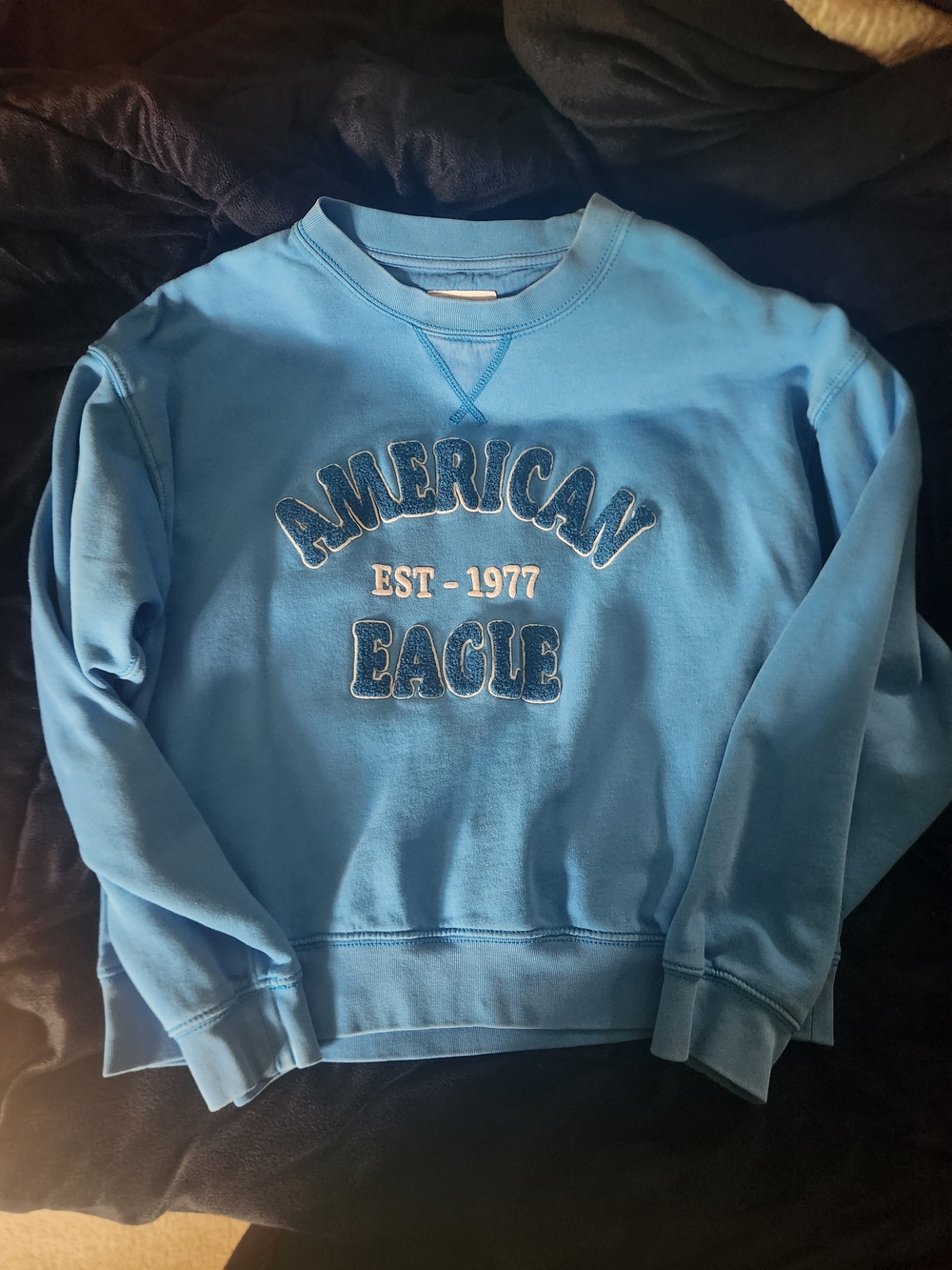 American Eagle Outfitters Light Blue Crewneck Pullover with Logo